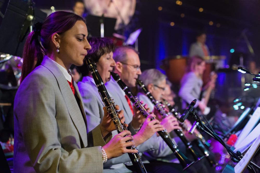 In Concert 2016 - 1 von 118 (18)
