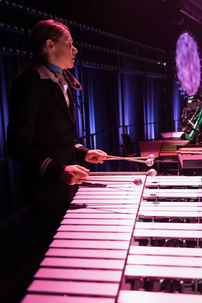 In Concert 2016 - 1 von 118 (31)